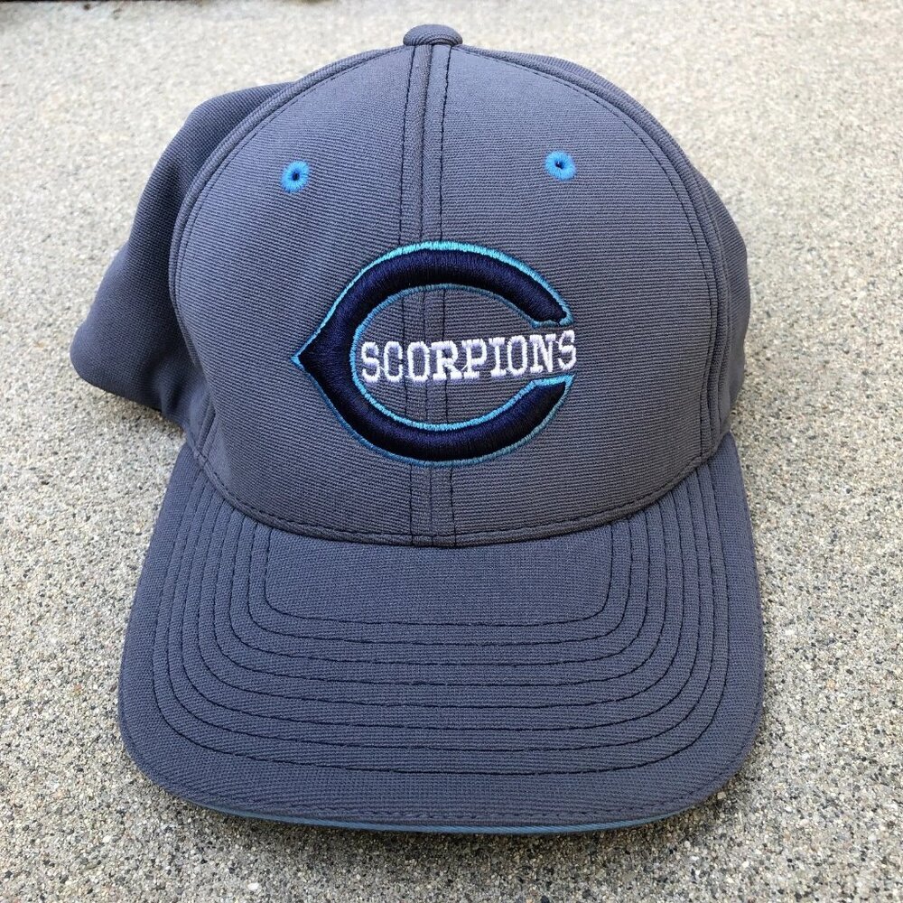 PACIFIC HEADWEAR C Scorpions Fitted Hat Men's L/XL Grey Embroidered Baseball Cap